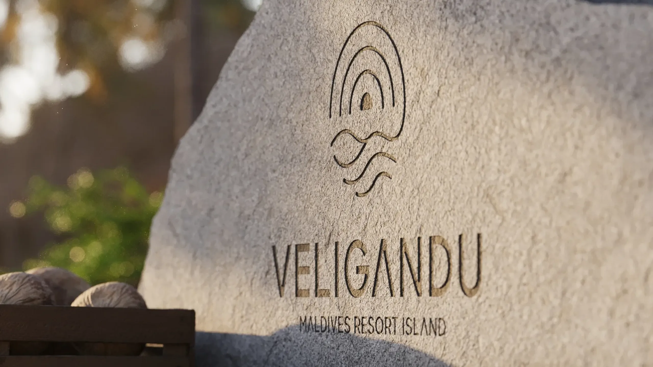 Veligandulogo